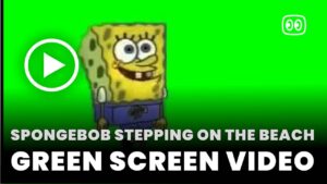SpongeBob Stepping on the Beach Green Screen