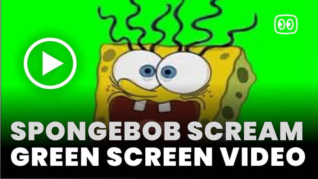 Spongebob scream Green Screen Free MP4 Download