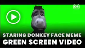 Staring Donkey Face Meme Green Screen