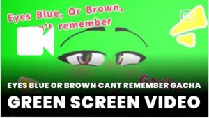 Eyes blue or brown cant remember Gacha Green Screen download