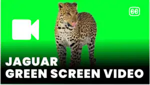 Jaguar Green Screen download