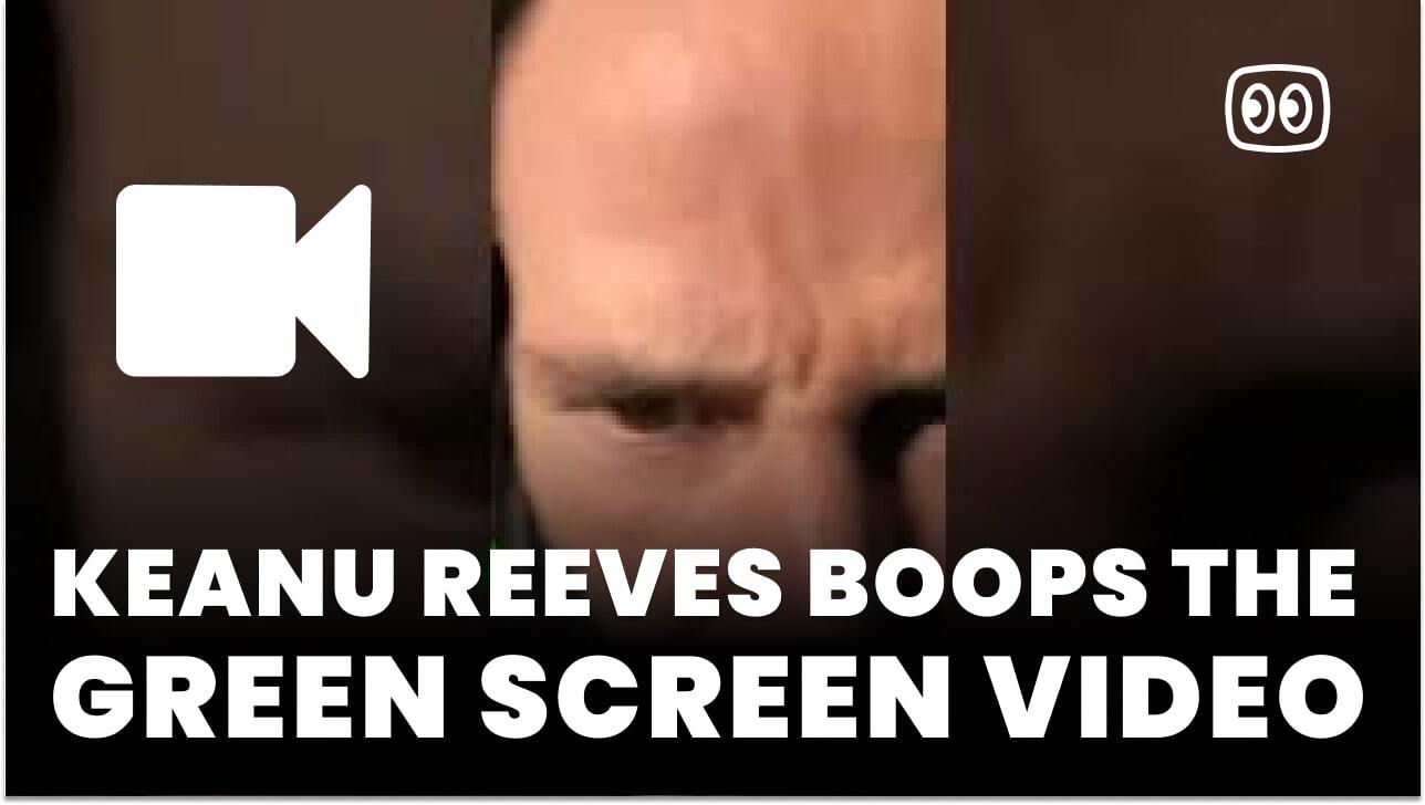 IShowSpeed Are You Serious Right Now Bro Green Screen - Free