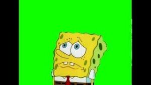 SpongeBob Does everybody know about opposite day Green Screen download