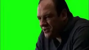 Tony Soprano Green Screen download