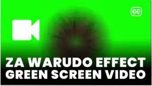 ZA WARUDO effect Green Screen download