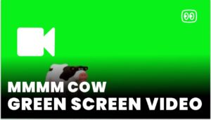 mmmm cow green screen download