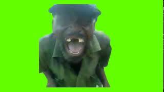 African Man Laughing Green Screen download