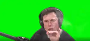 Elon Musk Smoking on Joe Rogan Podcast Green Screen download