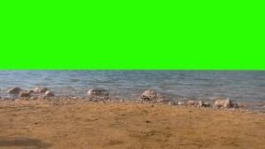 Ocean Sea & Beach Green Screen download