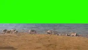 Ocean Sea & Beach Green Screen download