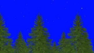 Snow Falling on Trees in a Forest on a Blue Screen download