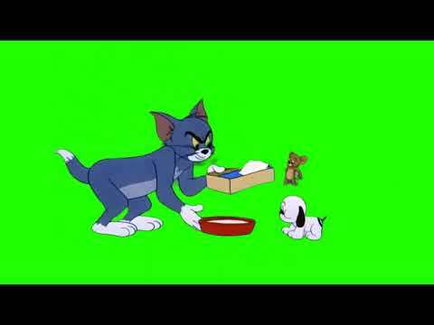 tom and jerry funny green screen download