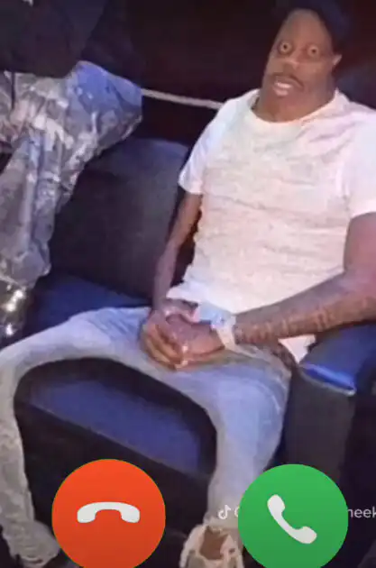 The Monday sad cat download