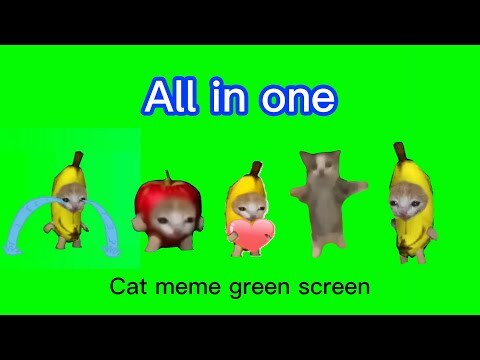 Cat meme green screen - Download MP4