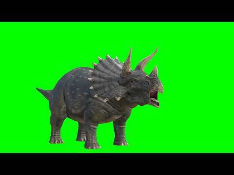 Dinosaur Green Screen download