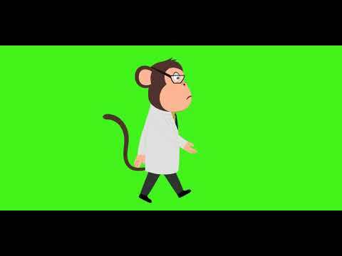 Monkey Walking Sad Green Screen download