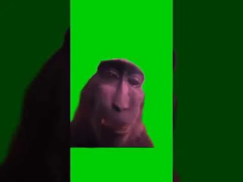 monkey kiss green screen download