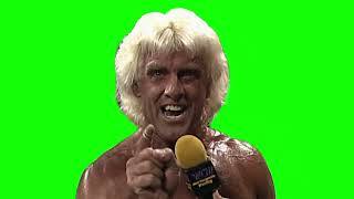 Ric Flair go to bed promo green screen download