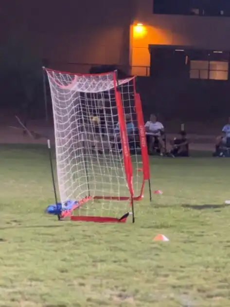 Where is everyone download