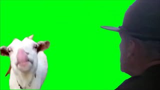 Talking Goat Shows His Warface Meme Green Screen
