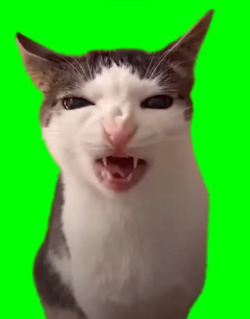 crunchy cat meme green screen