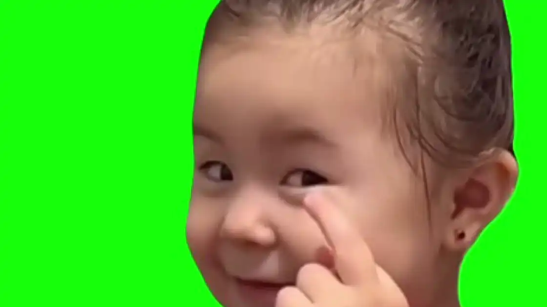 Flipping off meme green screen Green Screen Memes download