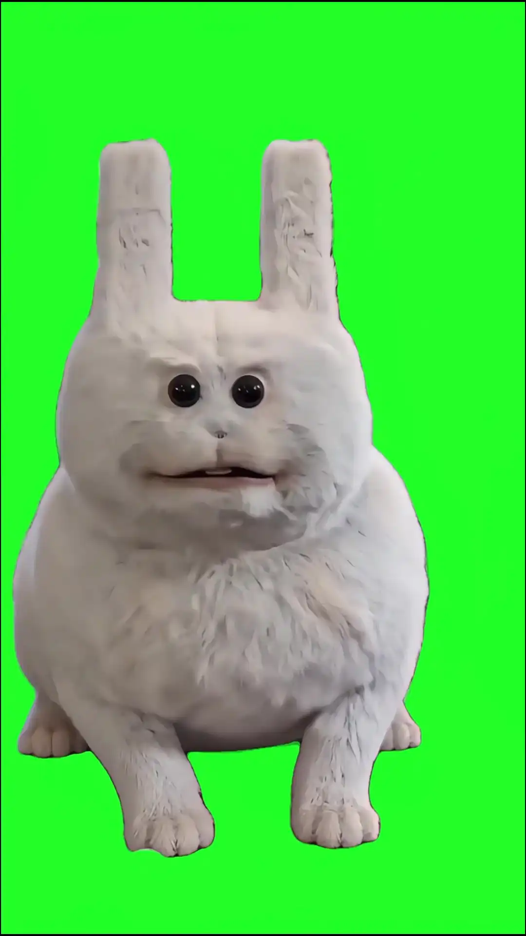such a silly gooby Green Screen
