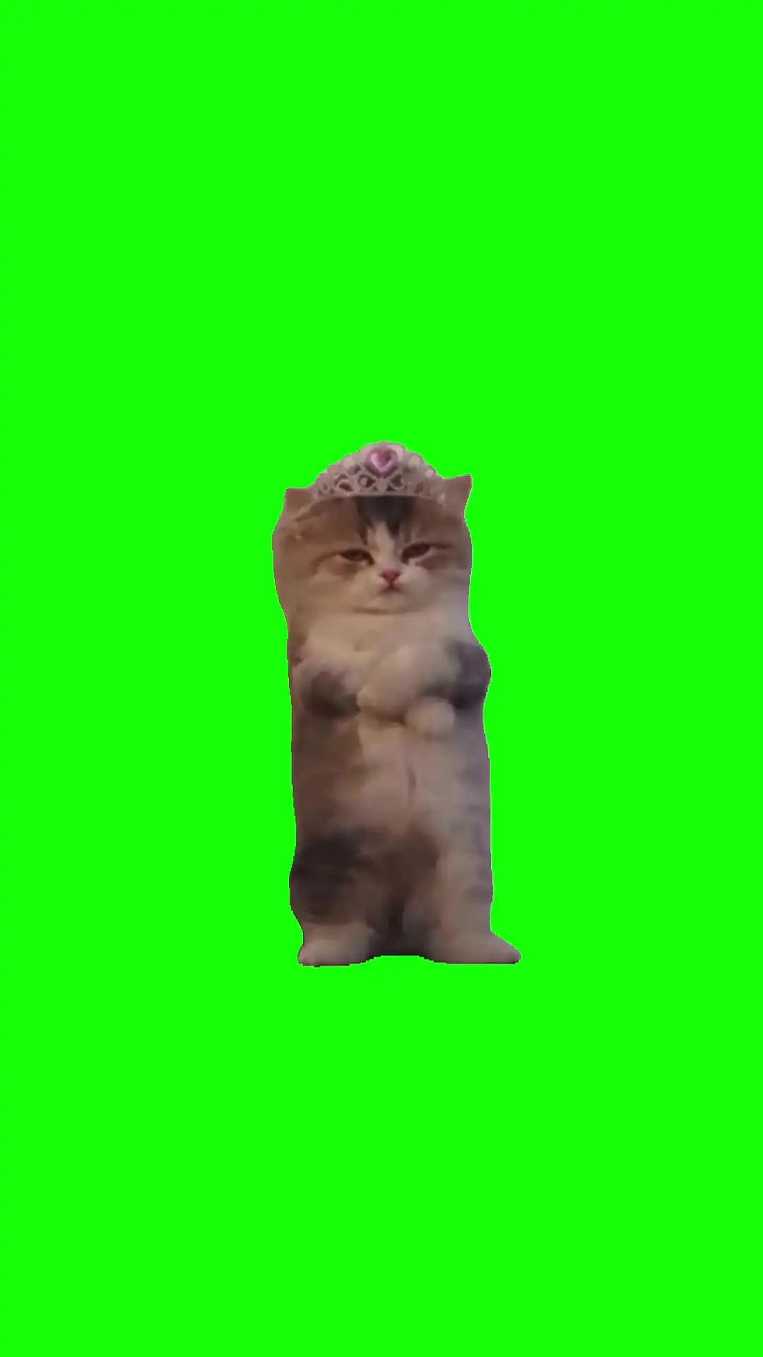 Princess tired meme Green Screen