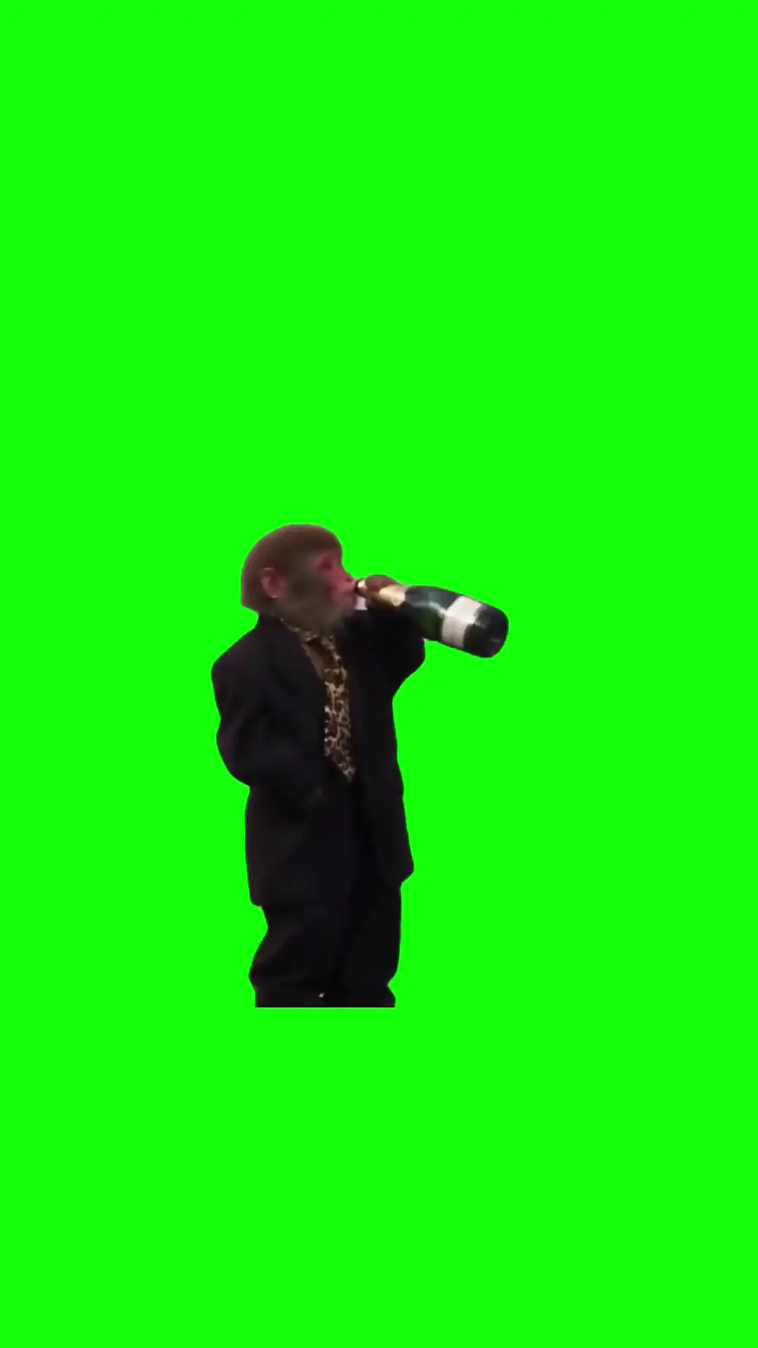 Sad Monkey drinking Meme Green Screen