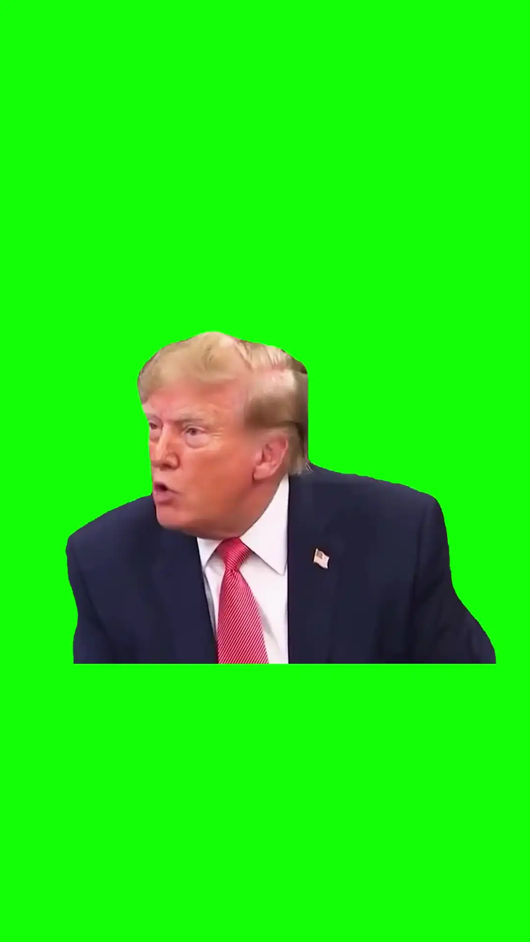 Trump Whats wrong with you Meme Green Screen