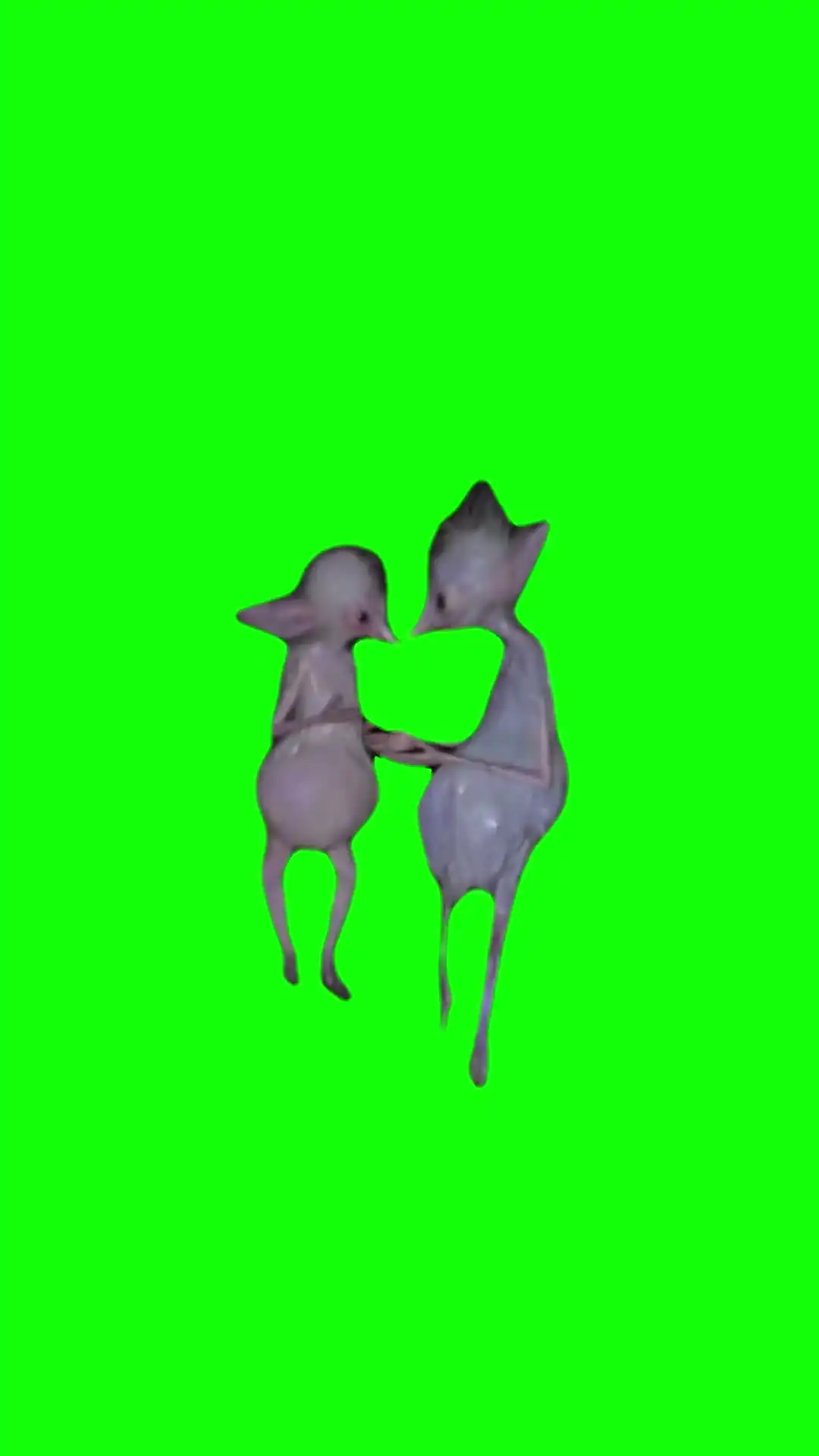 Bluti fruti Meme Green Screen