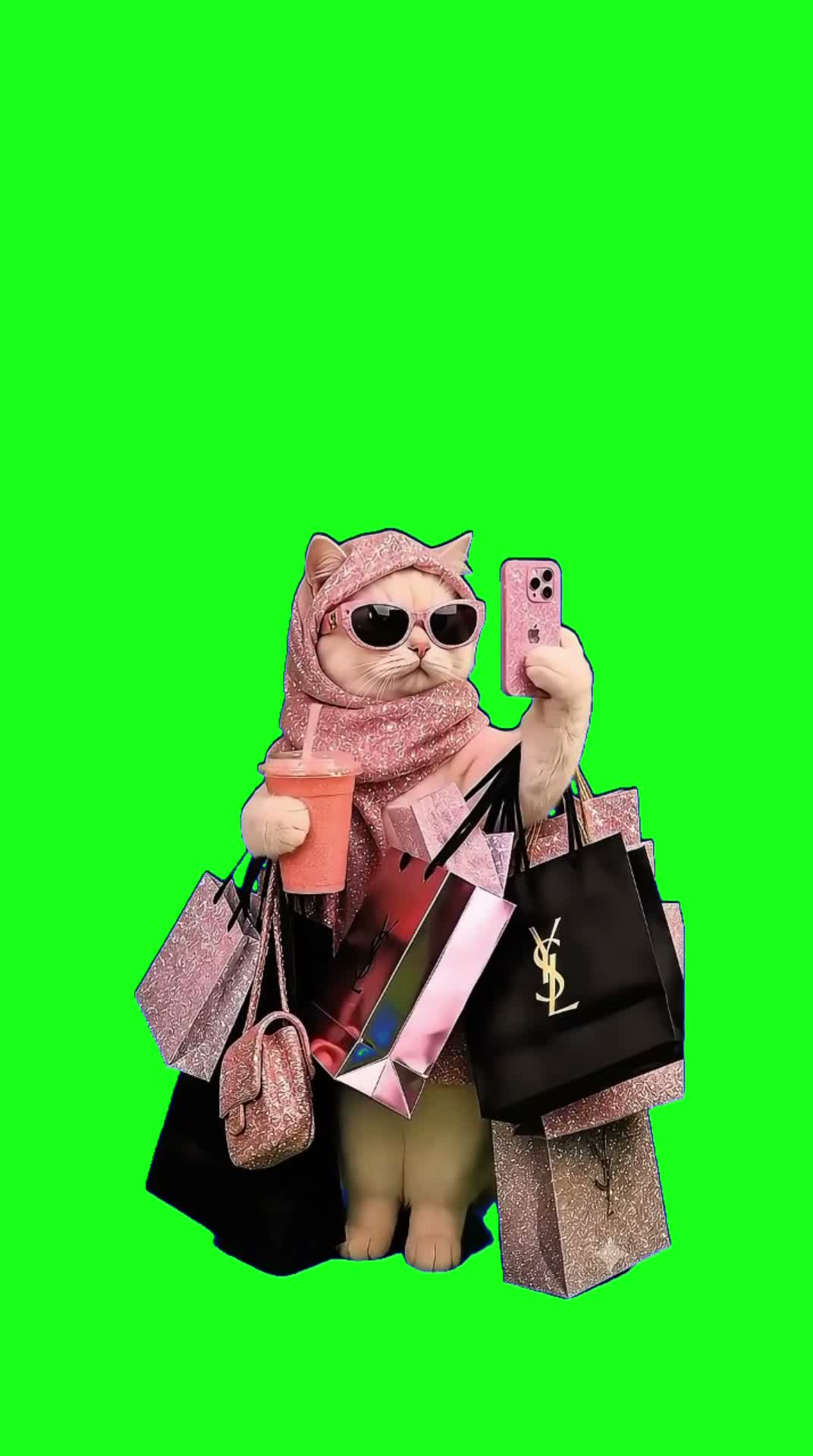 Cat with shopping bags Meme Green Screen