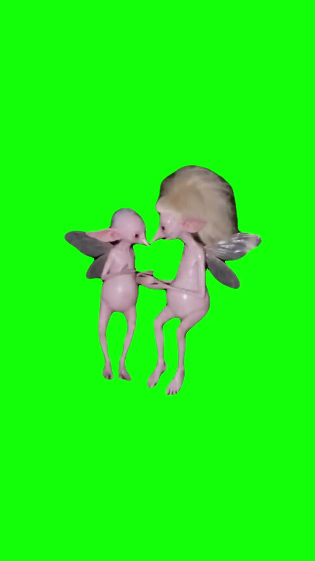 Fairies bluti fruity Meme Green Screen