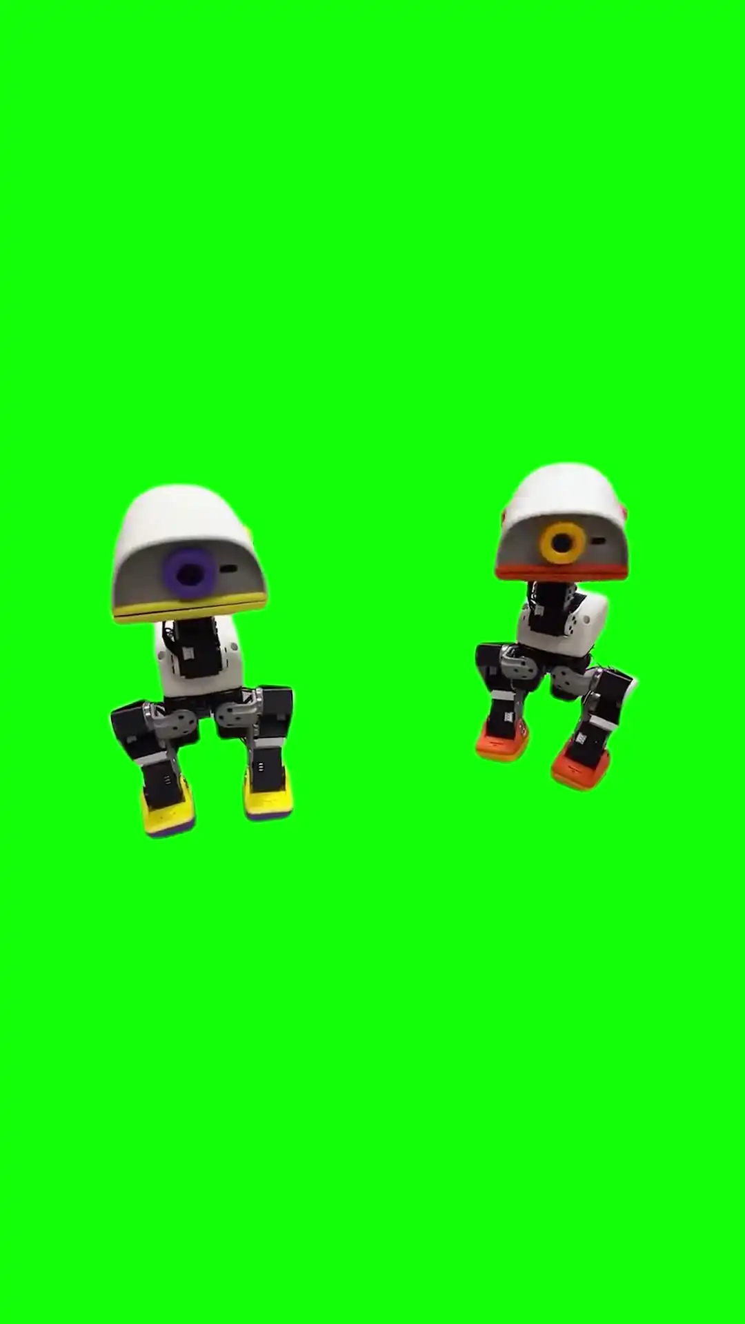 Microduck Robot Nvidia Meme Green Screen